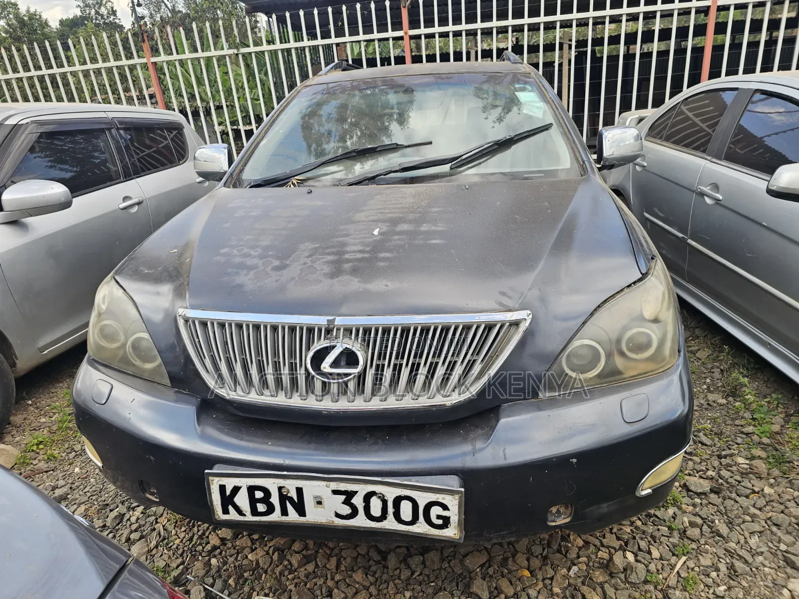 Lexus RX 2004 Blue
