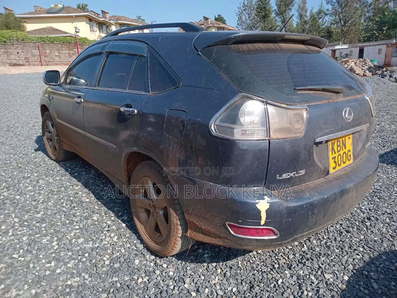 Lexus RX 2004 Blue
