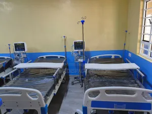 Adjustable Headrest and Backrest Two Crank Hospital Bed Complete