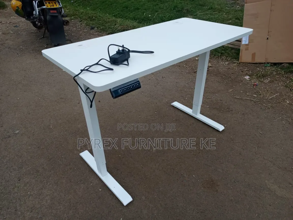 Adjustable Electric Standing Desk
