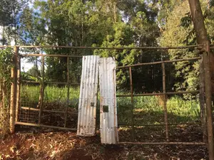 5 Acres Land for Sale - Githunguri, Kiambu