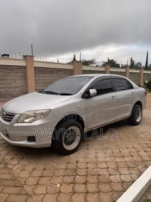 Toyota Axio 2011 Silver