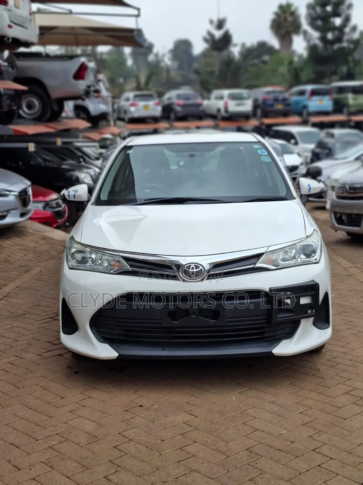 Toyota Axio 2019 White
