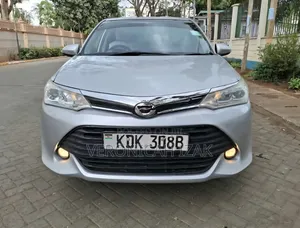 Toyota Axio 2015 Silver