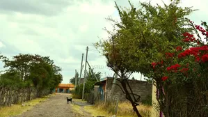 Residential Plot for Sale in Juja Farm
