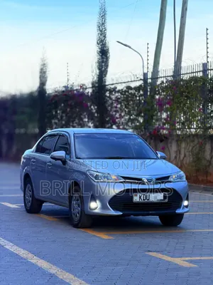 Toyota Axio 2018 Silver