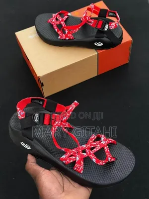 Open Chaco Sizes 40-45 Price