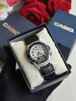 Casio Forester Watch