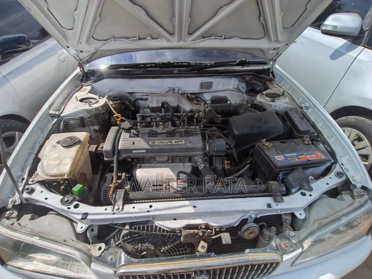 Toyota Sprinter 1999 White