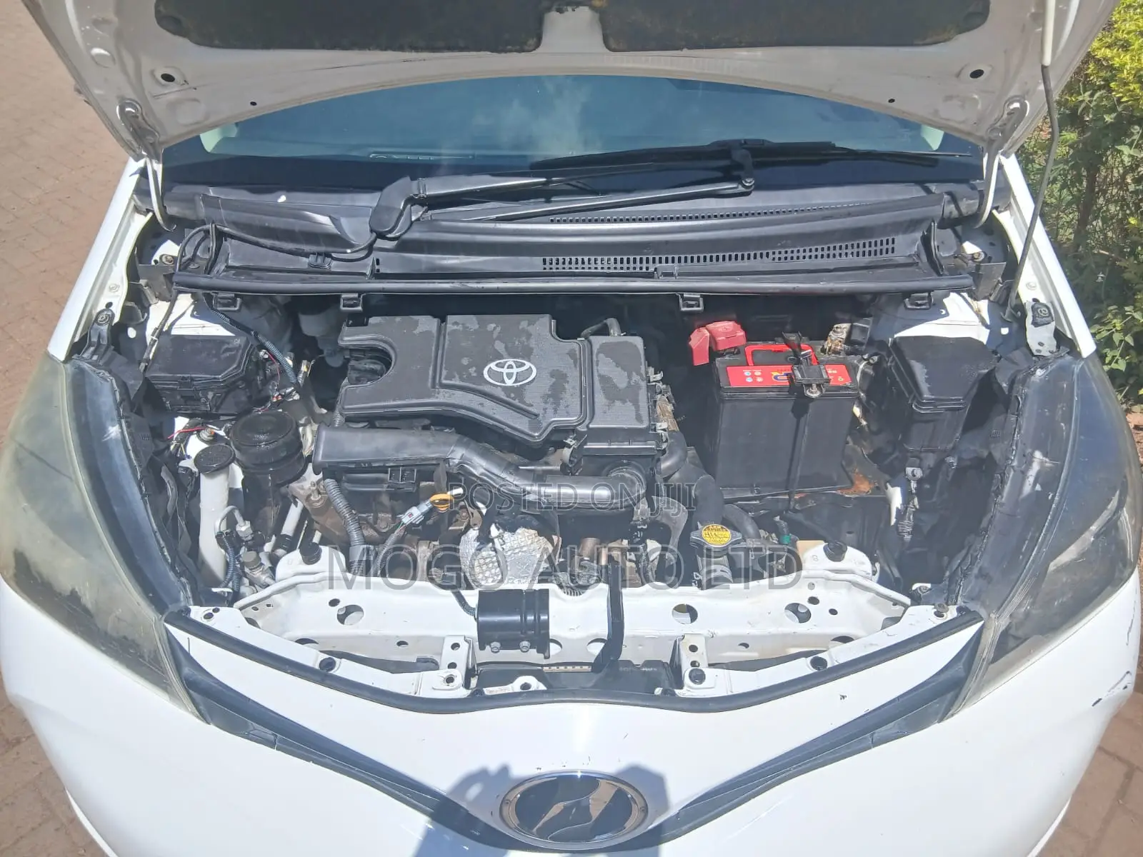 Toyota Vitz 2015 White