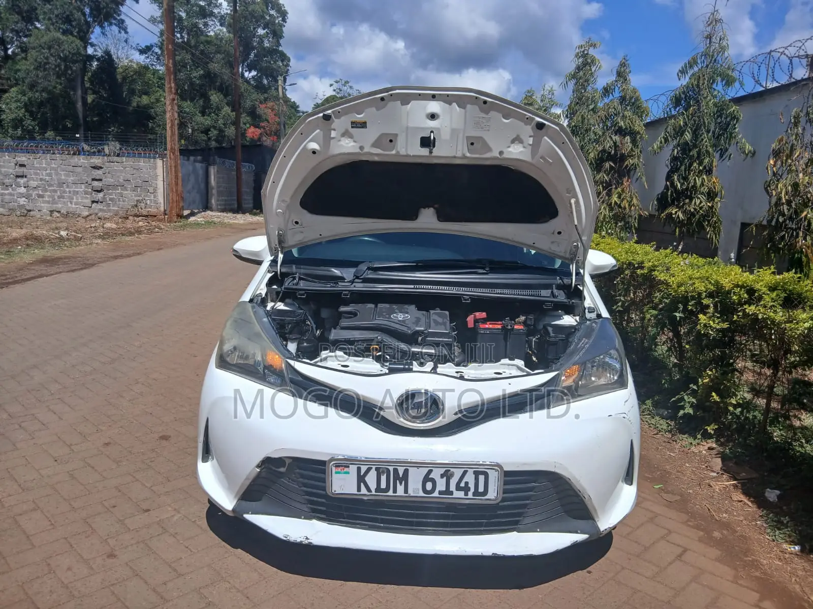 Toyota Vitz 2015 White