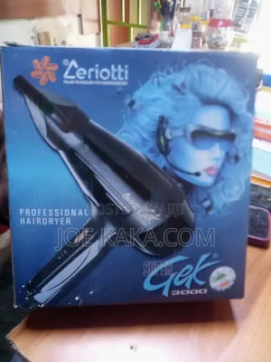 Professional Hair Dryer