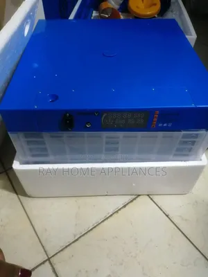 Egg Incubator 64eggs