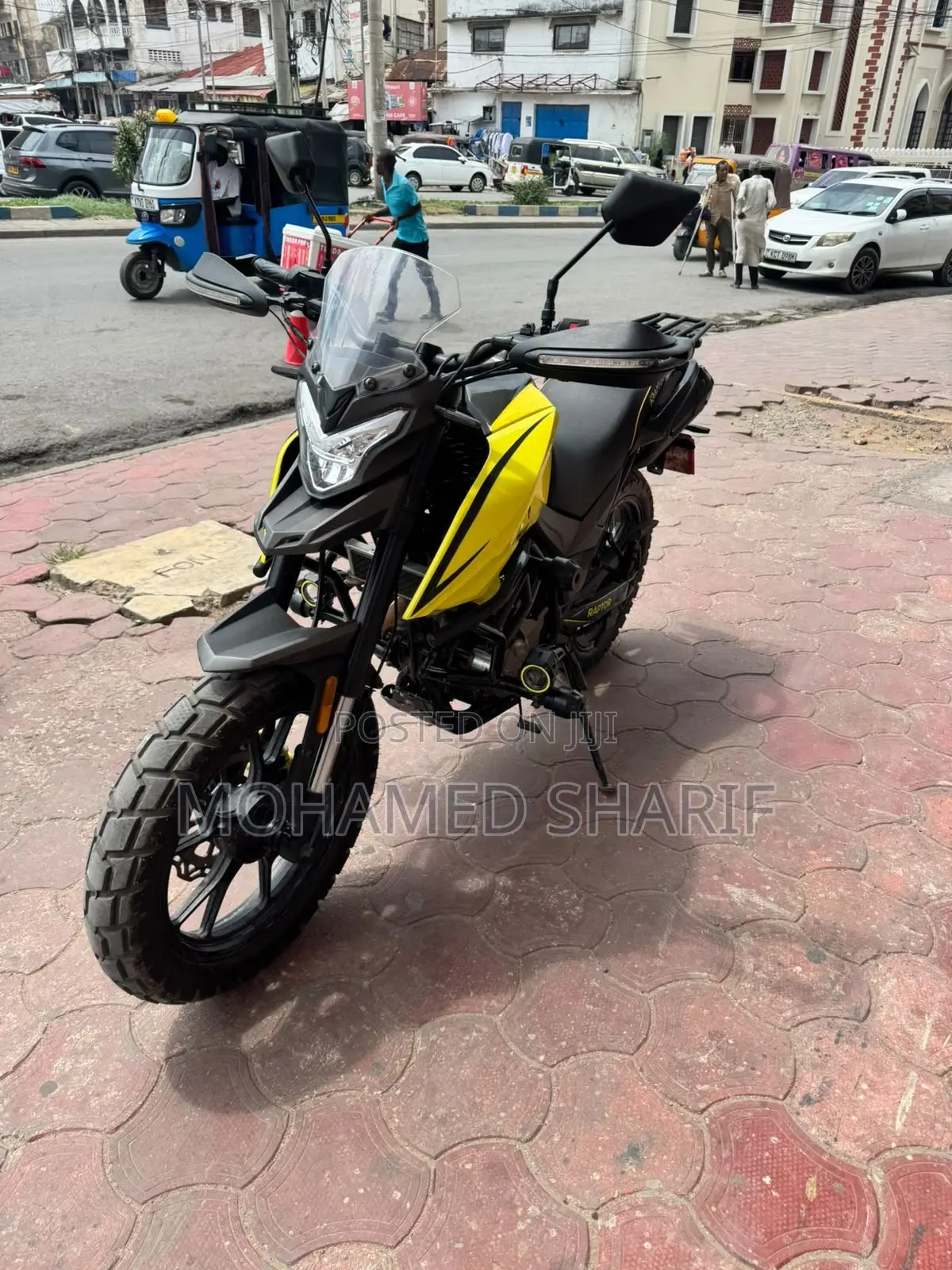 Regal Raptor Shark 250 2026 Yellow
