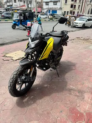 Regal Raptor Shark 250 2026 Yellow