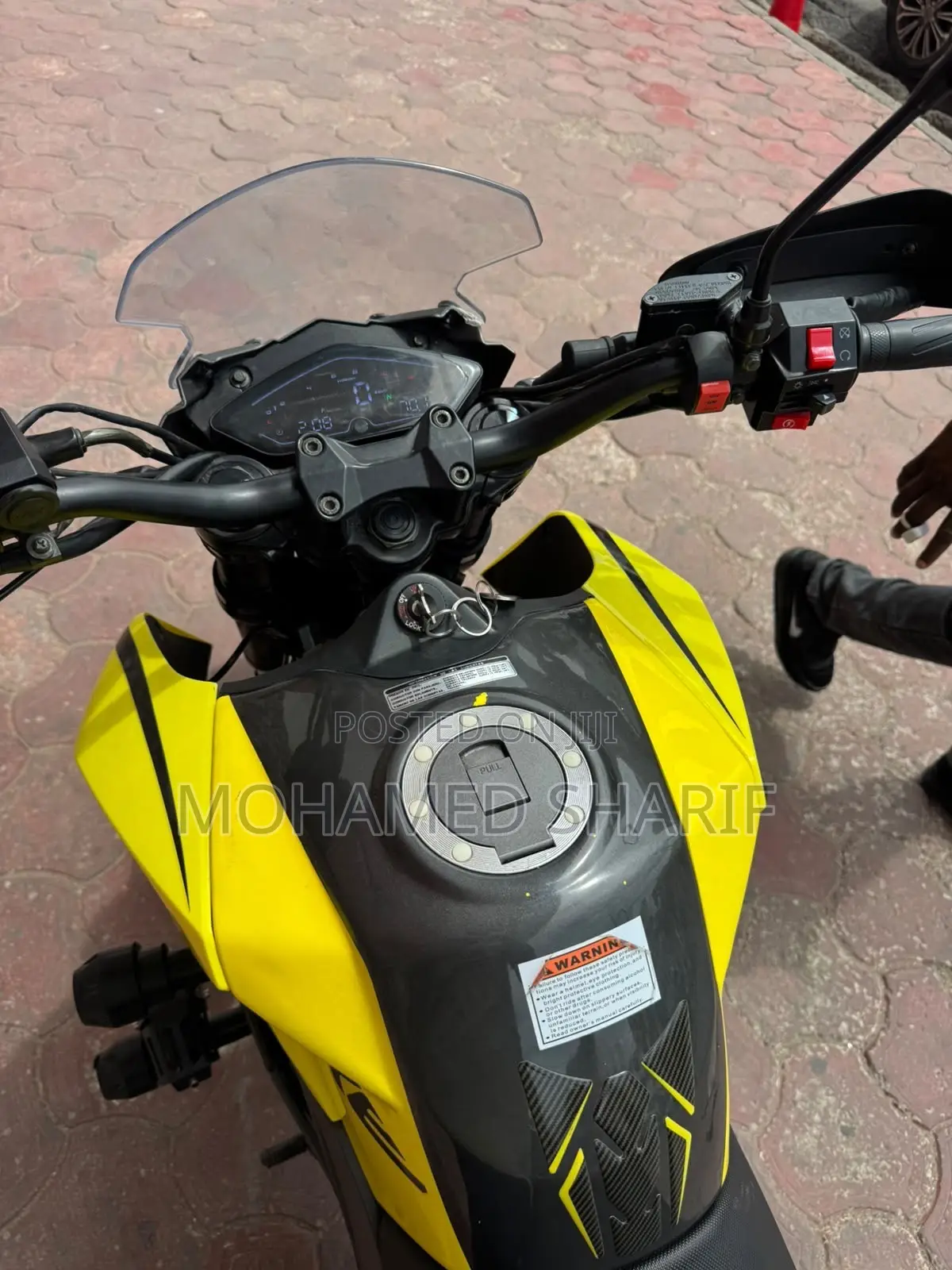 Regal Raptor Shark 250 2026 Yellow