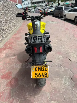 Regal Raptor Shark 250 2026 Yellow