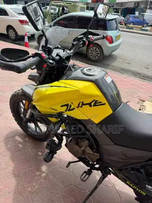 Regal Raptor Shark 250 2026 Yellow