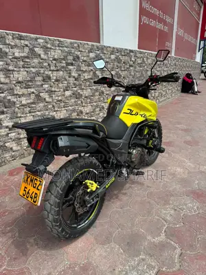 Regal Raptor Shark 250 2026 Yellow