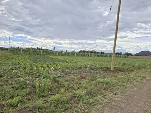 50/100 Plots on Sale Kiamunyi