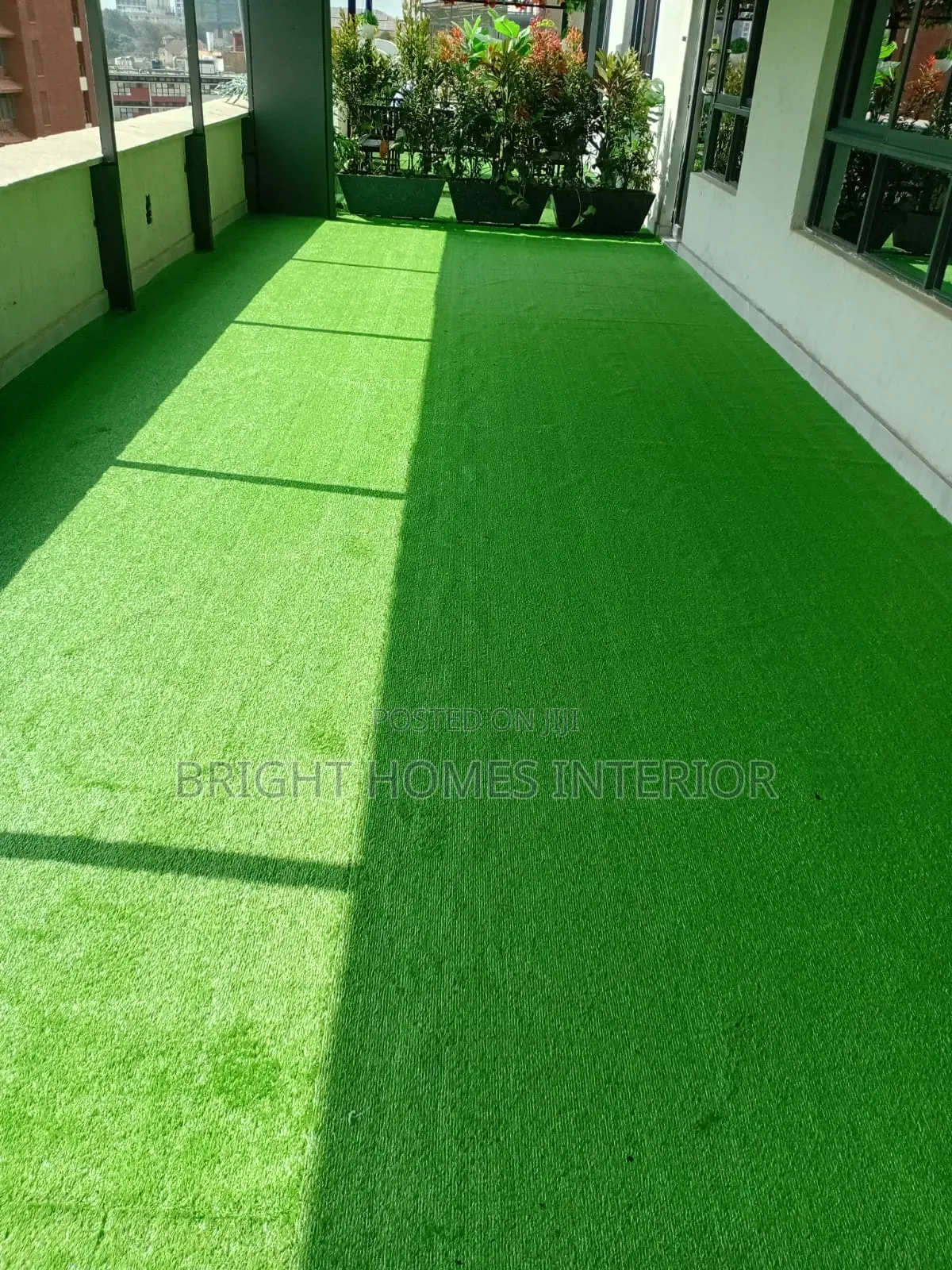 Balcony and Field Grass Carpet Grass Carpet