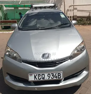 Toyota Wish 2010 Gray