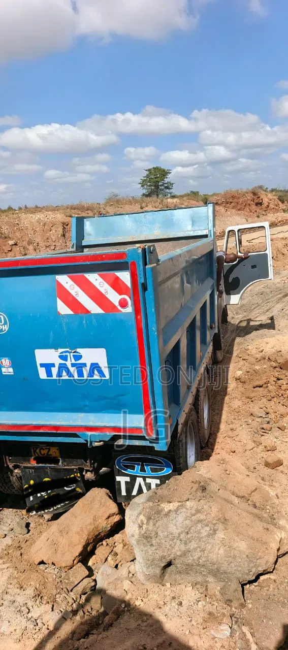 TaTa 2518 Boggie