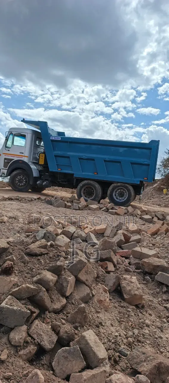 TaTa 2518 Boggie