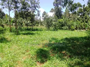 50 by 100 Plot for Sale at Bungoma, Webuye at Misikhu