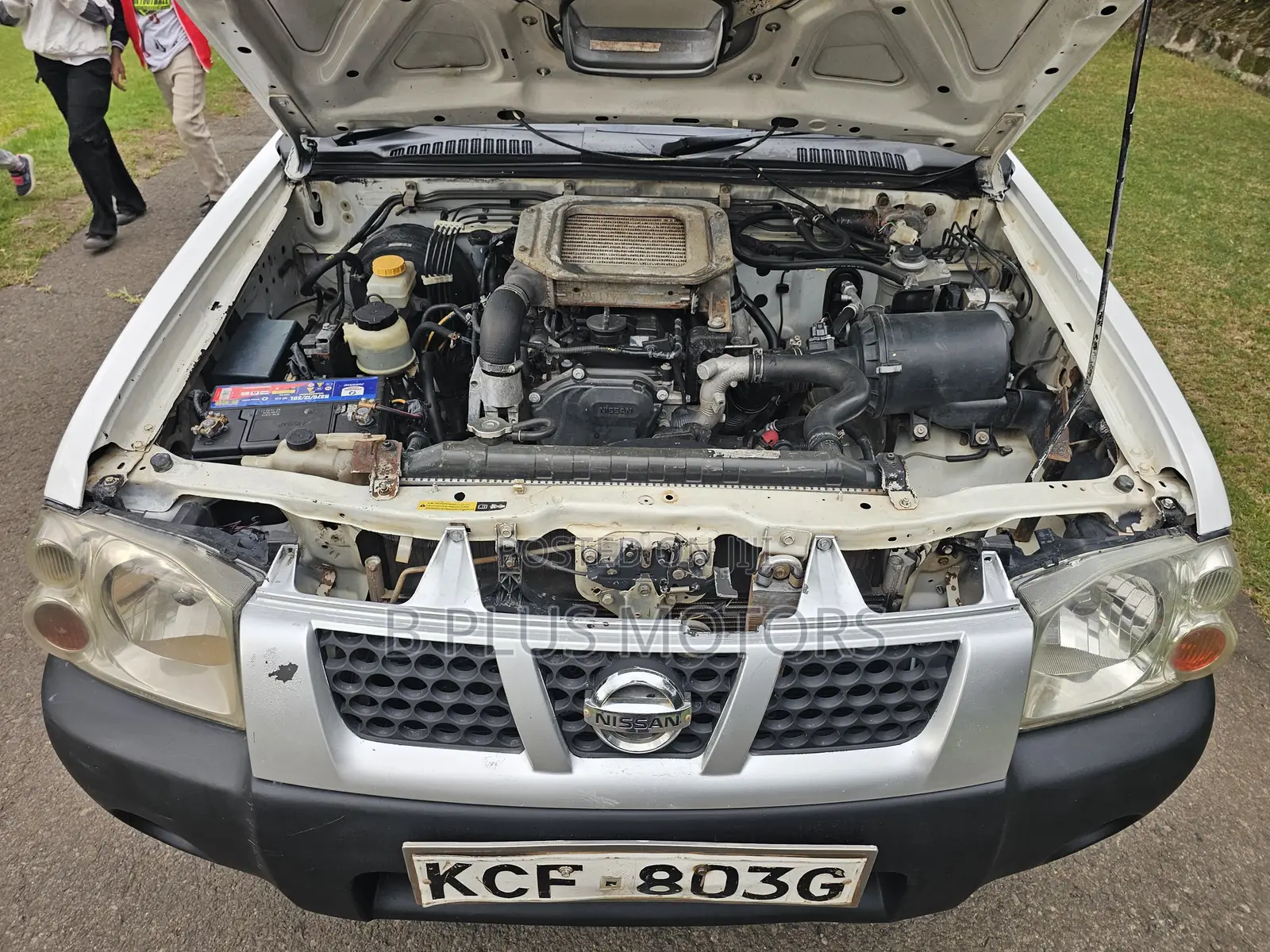 Nissan Hardbody 2015 White