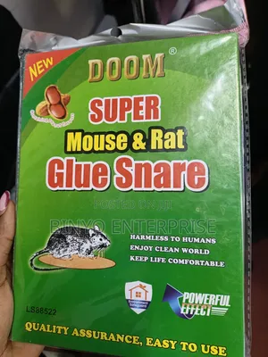 Set Mouse Traps