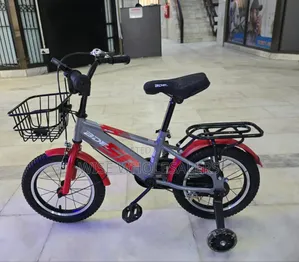 BDF 14 Inch Gear Bike