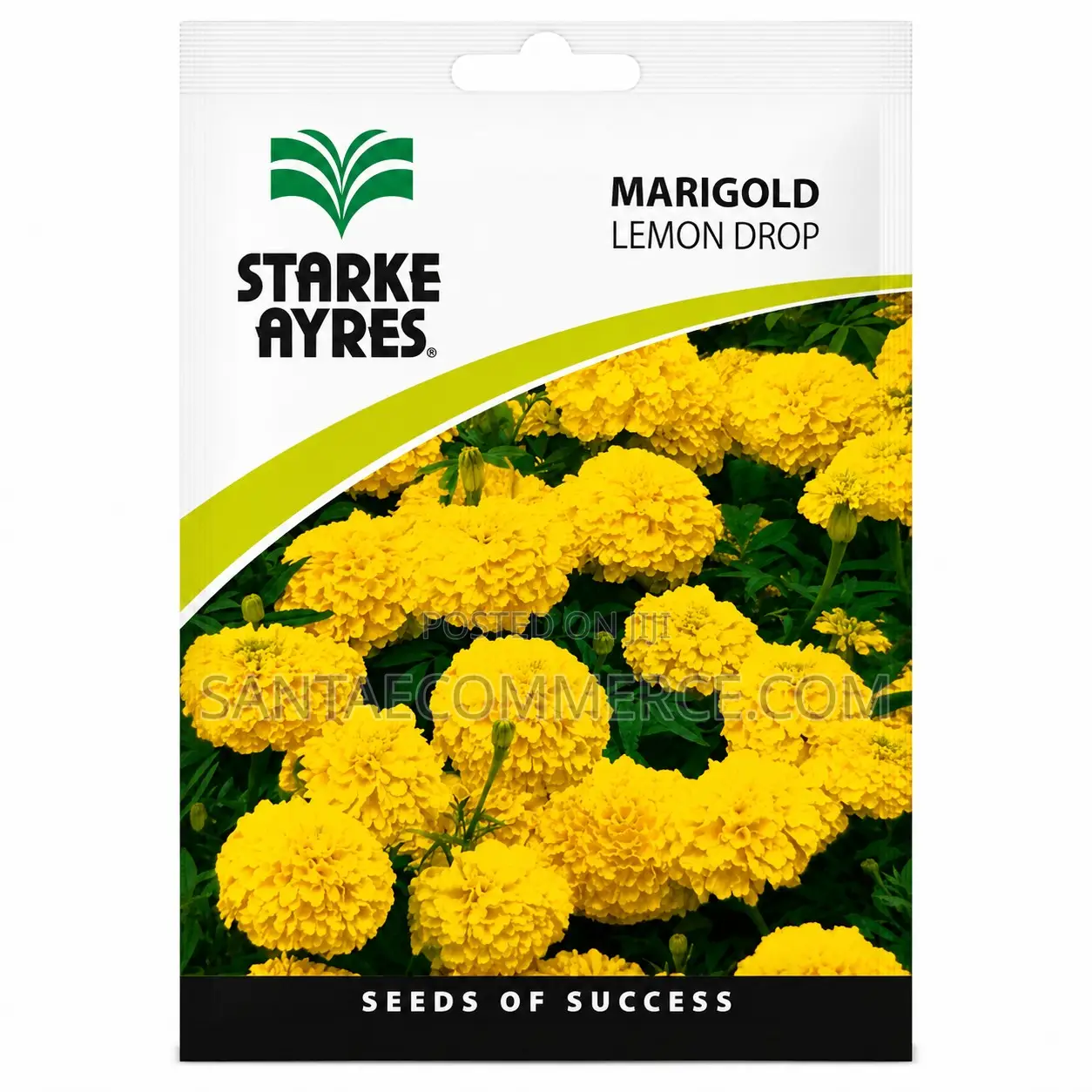 Starke Ayres Marigold Lemon Drop Seeds
