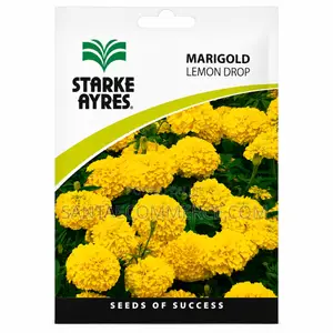 Starke Ayres Marigold Lemon Drop Seeds