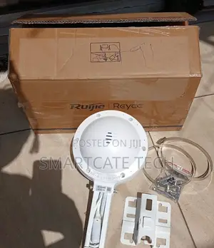 1. Ruijie RG-RAP6262(G) High-Speed Outdoor WiFi 6 Access Point