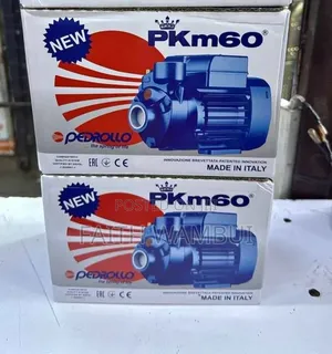 Most Selling 0.5hp Commercial Pedrollo Pump