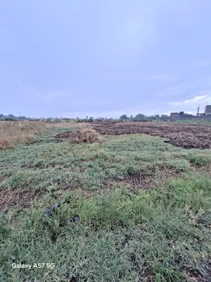 1/4 Prime Plot on Sale Greenstead Nakuru