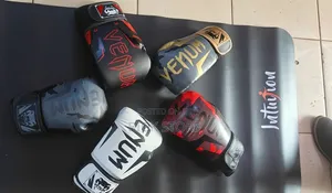 Boxing Gym Gloves