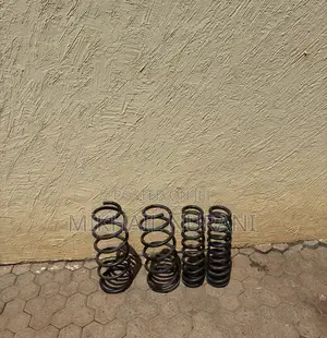 Shocks and Springs