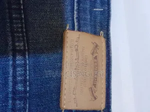 Men's Blue, Slim Fit, Denim/Jeans