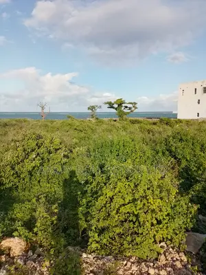 Half-Acre Beach Plot for Sale in Mayungu, Malindi