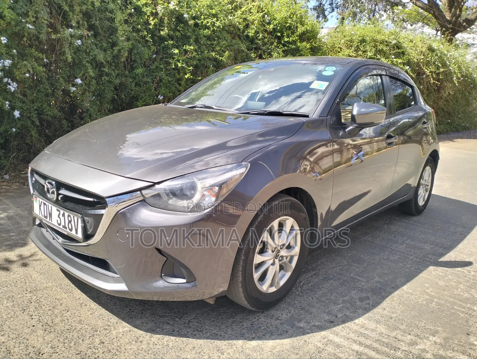 Mazda Demio 2019 Gray