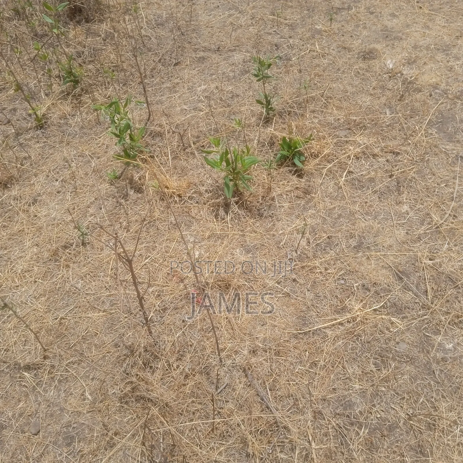 Land Lease Eastern by Pass Kamakis
