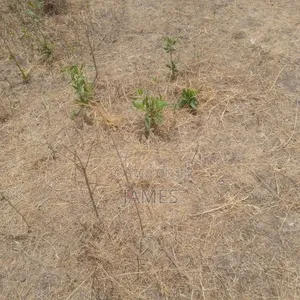 Land Lease Eastern by Pass Kamakis