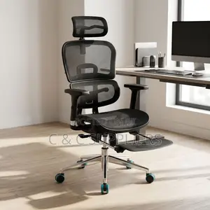 Ergonomic Full Mesh Lumber Chair.