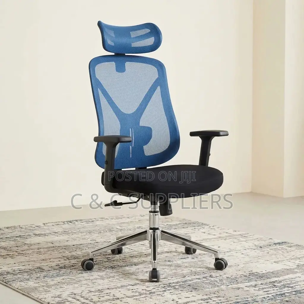 Ergonomic Blue-Mesh Back Study Chair.