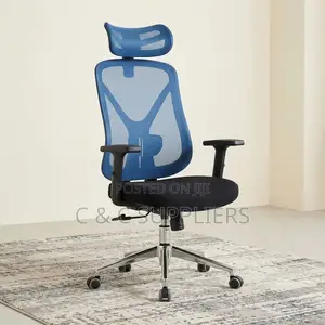 Ergonomic Blue-Mesh Back Study Chair.