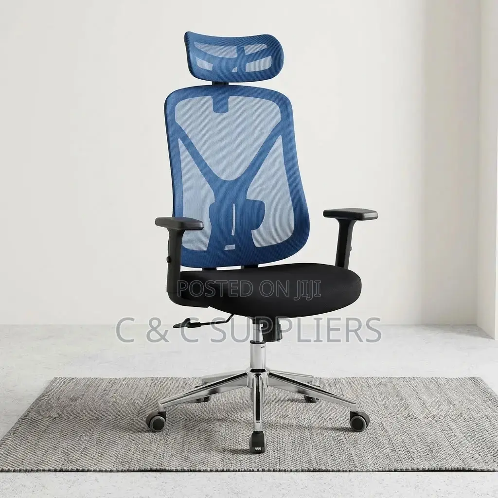 Ergonomic Blue-Mesh Back Study Chair.
