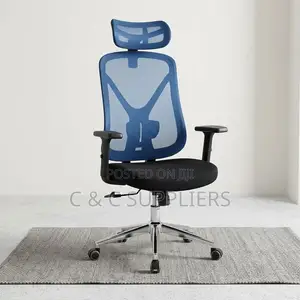 Ergonomic Blue-Mesh Back Study Chair.