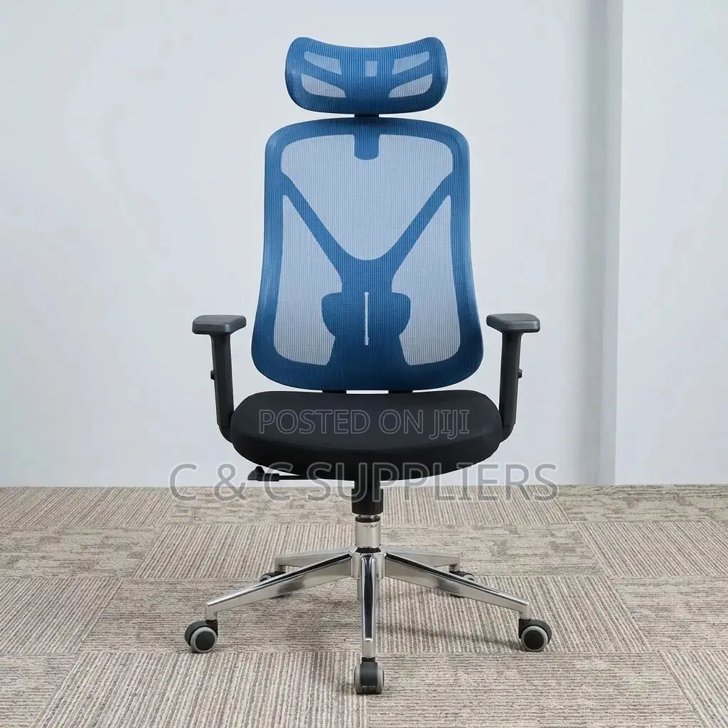 Ergonomic Blue-Mesh Back Study Chair.